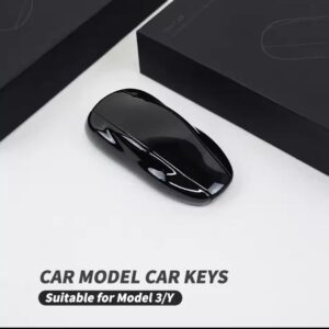 Tesla Car Key