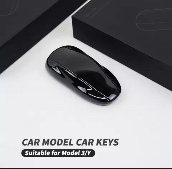 Tesla Car Key