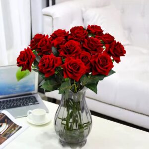 Rose Flower