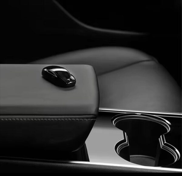 Tesla Car Key - Image 3