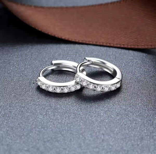 Silver Crystal Circle Earring For Women - Image 4