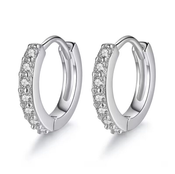 Silver Crystal Circle Earring For Women - Image 6