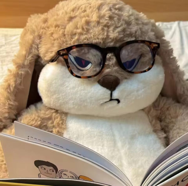Large Size Angry Rabbit Teddy - Image 2